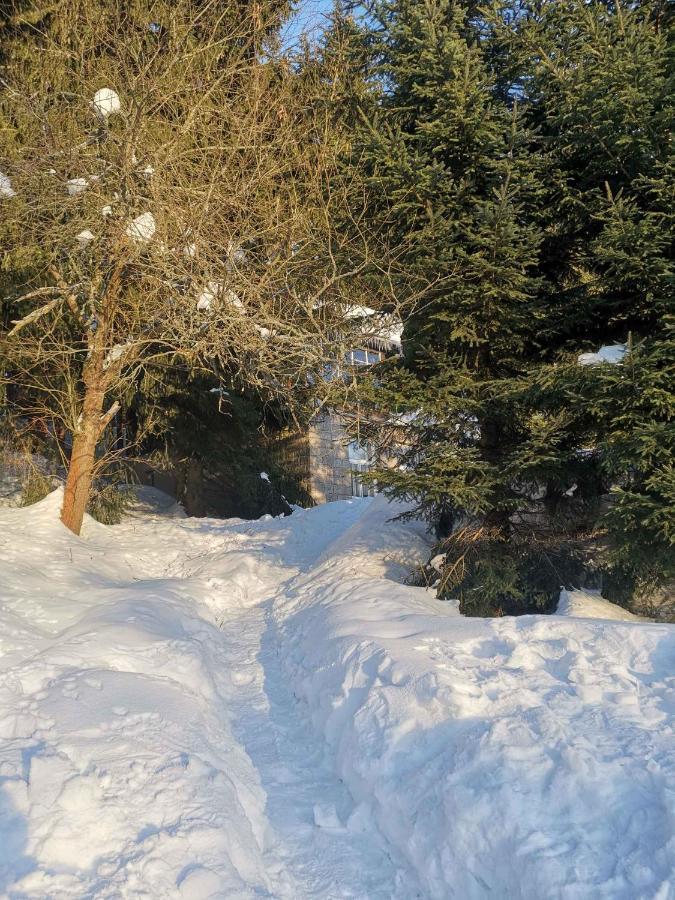 Holiday Home In Harrachov 2311 Экстерьер фото