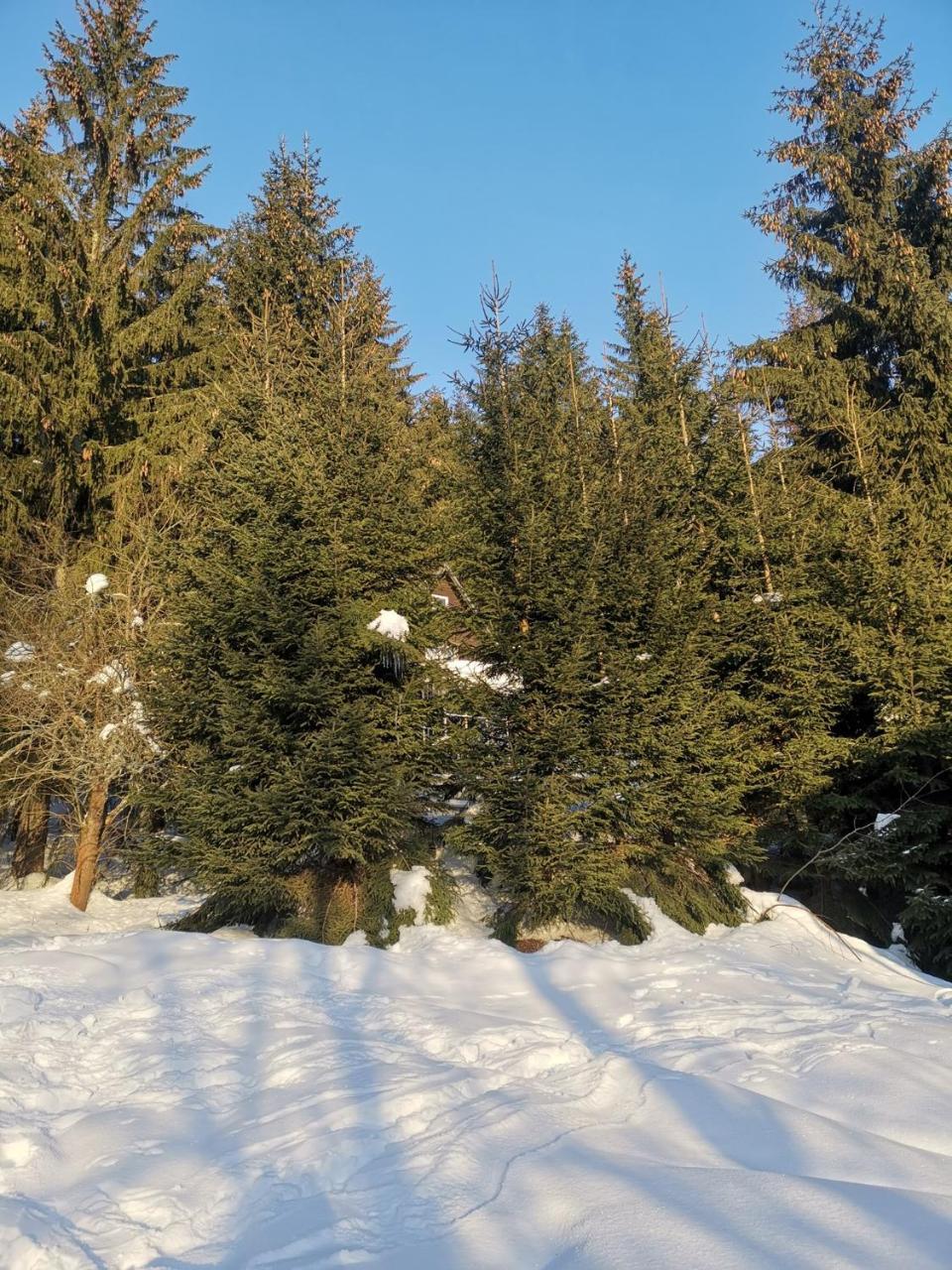 Holiday Home In Harrachov 2311 Экстерьер фото